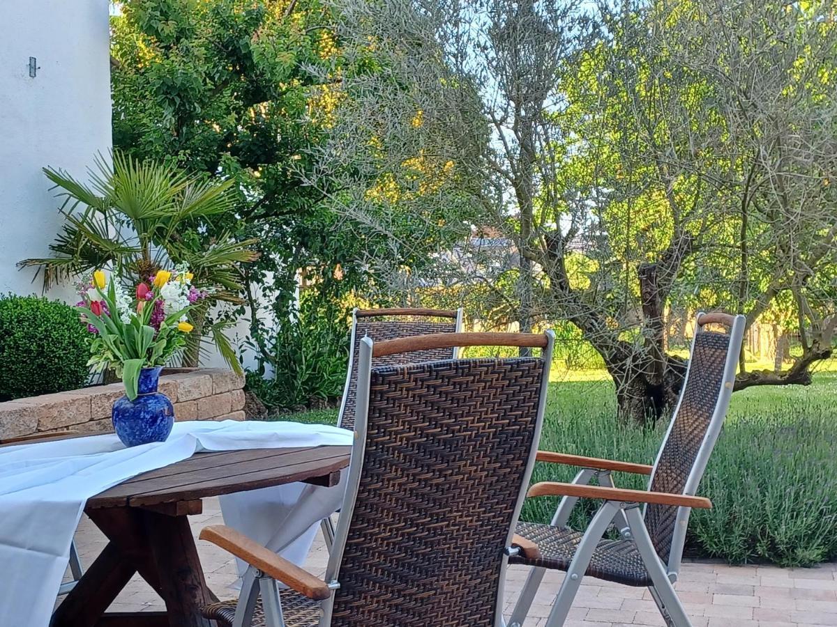 Münstermaifeld Gaestehaus Frevel מראה חיצוני תמונה