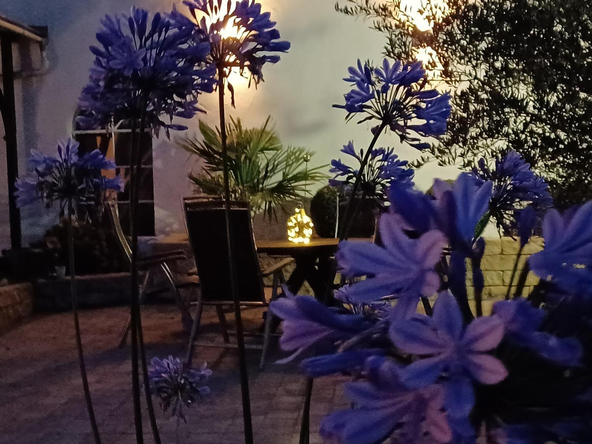 Münstermaifeld Gaestehaus Frevel מראה חיצוני תמונה